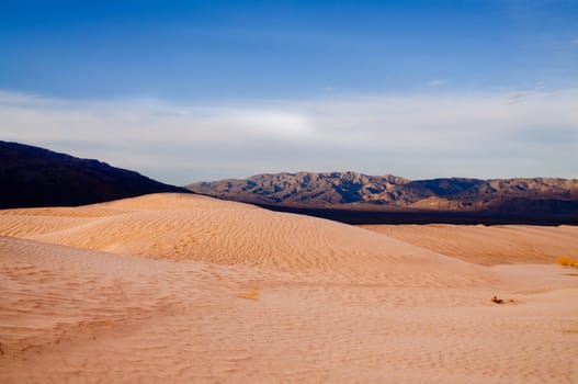 Dunes in Death Valley