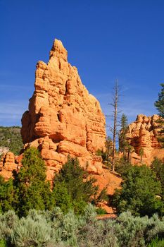 Sandstone outcrop in Cedar Breaks national park in Utah