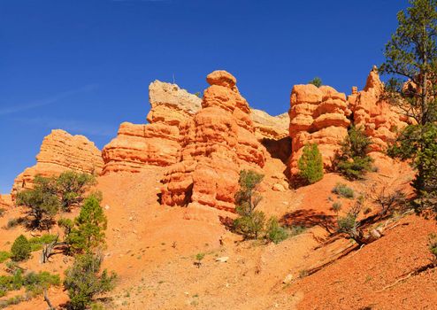 view of the hoodoo's in Bryce Canyon, Utah