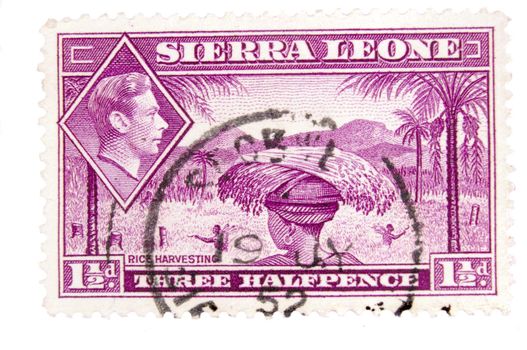 Canada - Circa 1952 : A vintage Sierra Leone postage stamp image of a woman carrying rice on her head with an inset of King George, and value of one and a half pence, series circa 1952