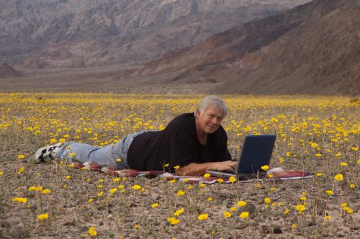 Botanist making notes on his computer, amid the desert spring flowers in  Death Valley, California