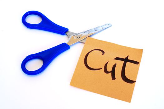 Blue scissor on a white isolated background