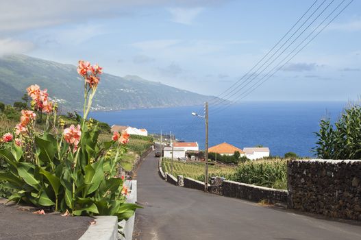 Country road in Pico island, Azores