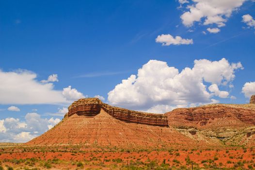 Scenic views of the State park Zion Park in Utah