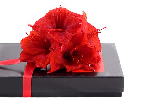 Black gift box with red flowers on white