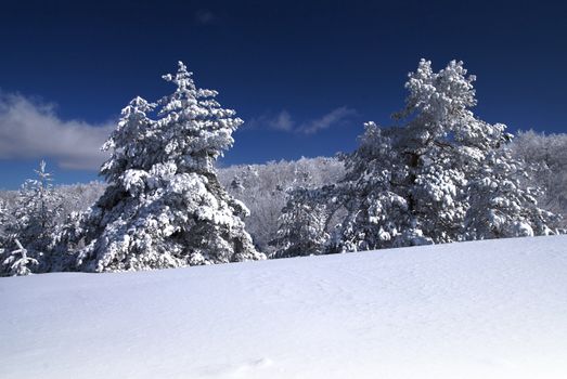 Mountain Winter Idyllic Scene