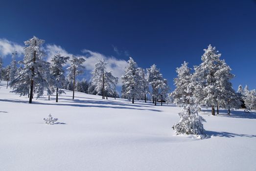 Mountain Winter Idyllic Scene