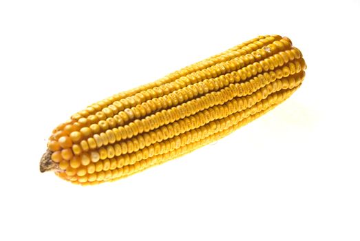 Yellow Corncob isolated on white