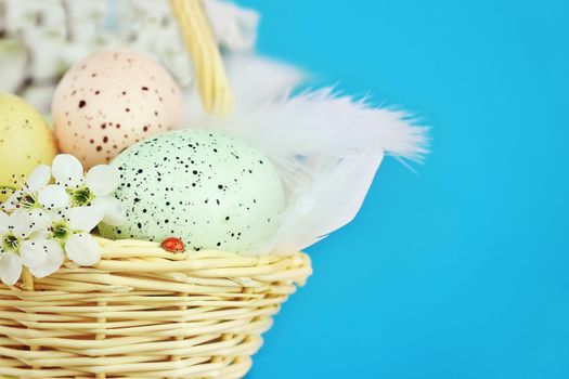 Basket full of Easter eggs in a basket with a ladybird and spring flowers against a blue background with room for copy space. Extreme shallow DOF.
