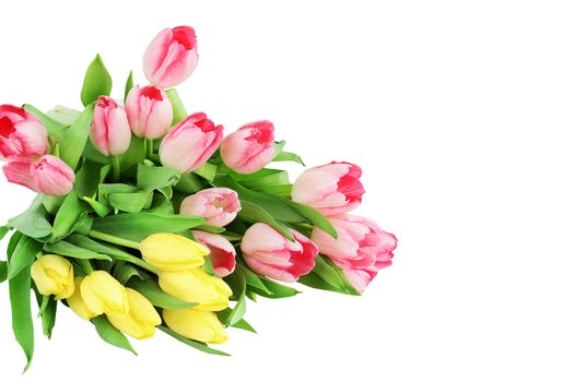 Bouquet of tulips on white background 
