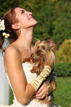 The laughing bride with the yorkshire terrier
