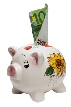 Piggy Bank with euro bill sticking out from it.
