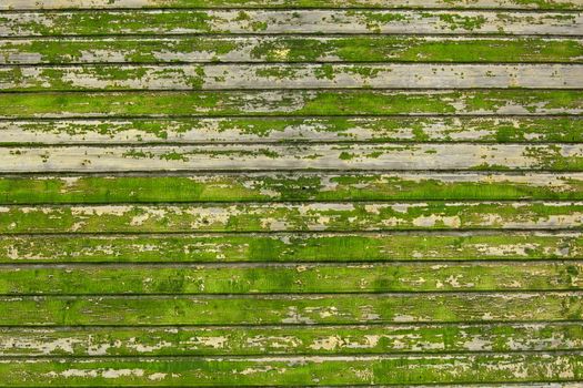 Background picture made of old green wood boards