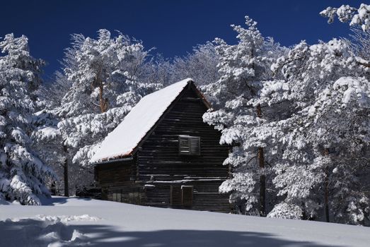 Mountain house in snow, winter sunny day