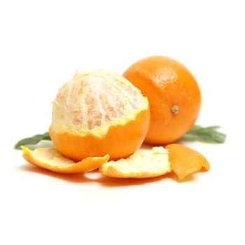 A couple oranges are isolated on white with one half peeled to enjoy its juicy fruit on the inside.