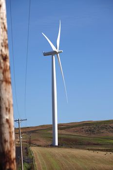 Wind energy, wind turbine in a field Washington state.