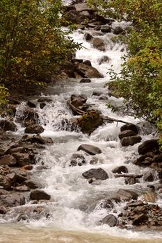 Swift flowing mountain stream in British Columbia