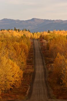 Autumn colored trees along road in British Columbia