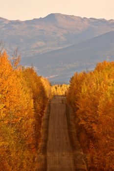 Autumn colored trees along road in British Columbia