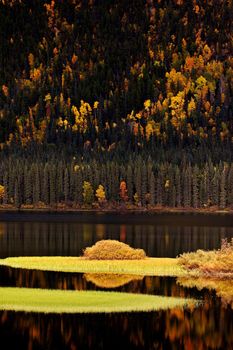 Water reflections in autumn