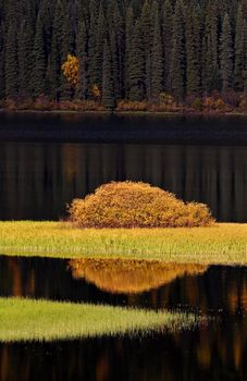 Water reflections in autumn