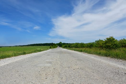 Rural paved road among the fields, orchards and forests