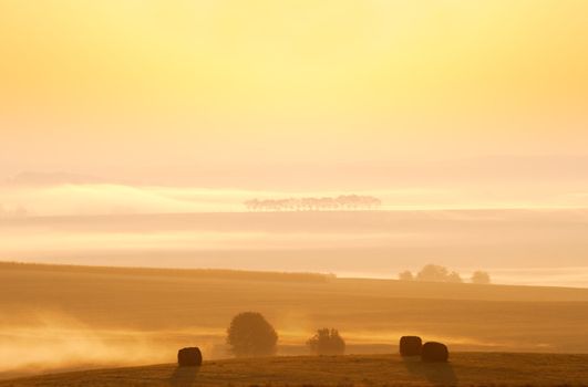 misty atmosphere early in the morning on the countryside