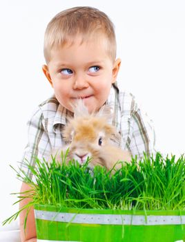 Cute boy with a rabbit on green grass. In the studio