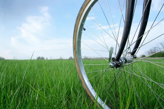 Bicycle wheel on a green field