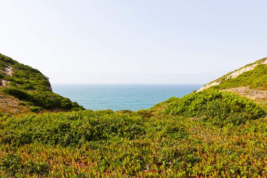 a view of grass coastline and ocean