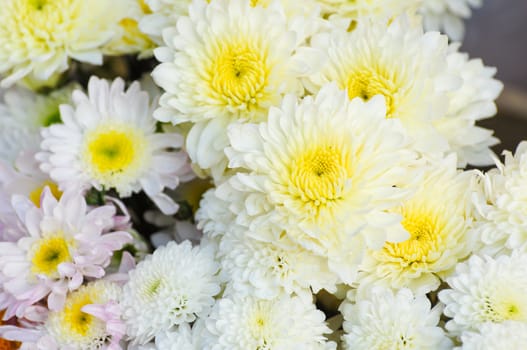 white flower
