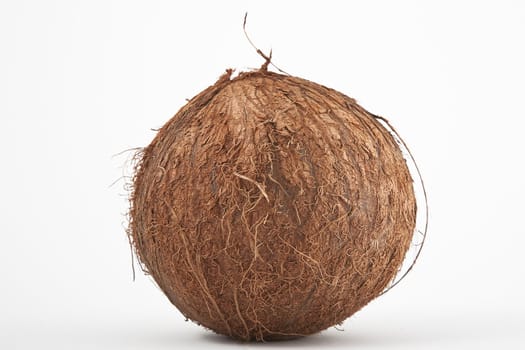 front view of coconut isolated on white background 
