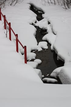 Water In a Frozen Lake in a forest.