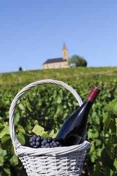 Bottle of red wine in a basket of reasons near a typical church