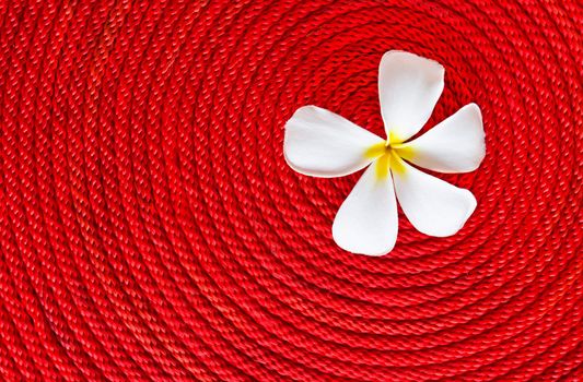 Lan thom flower on roll red rope