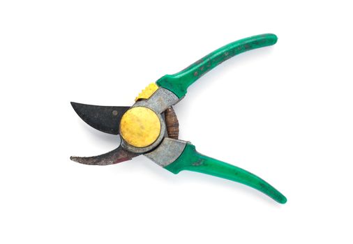 Gardening shears to cut the tree branches on white background