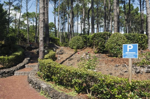 Picnic park in Pico island, Azores, Portugal