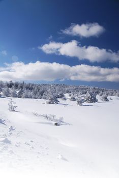 Mountain Winter Idyllic Scene