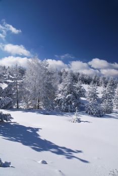 Mountain Winter Idyllic Scene