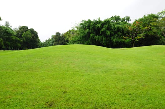 green field