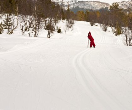 Small child (4 years old) skiing in the forest