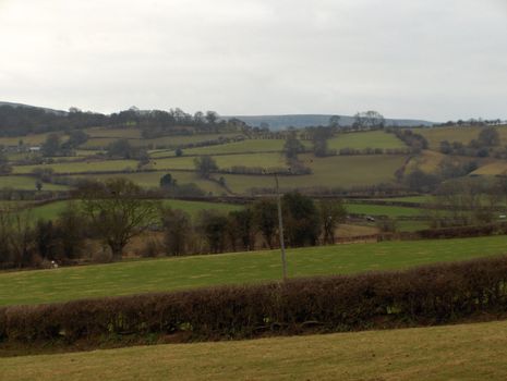 Hedges and walls form small pastures near Hay-On-Wye, Wales.