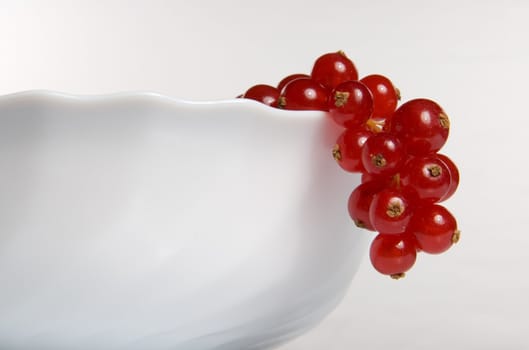 Red currant in a white cup
