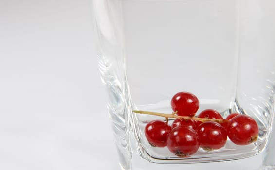 Red currant in a transparent glass
