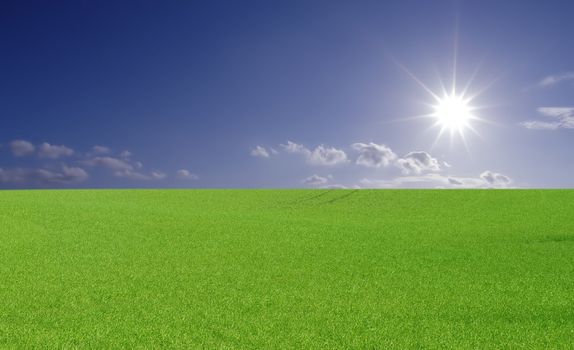 perfect blue sky with bright shining sun and evergreen field