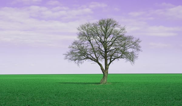 Lonley tree on perfectgreen field and purple fantasy sky