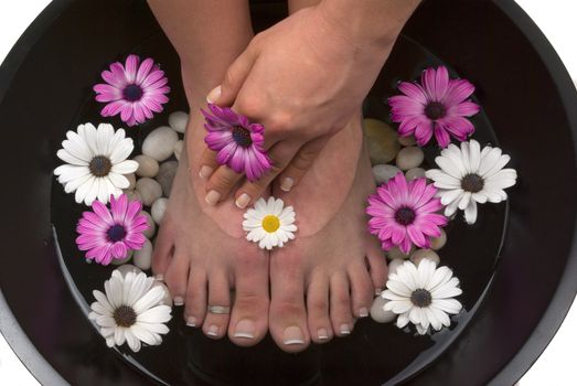 Beautiful pedicured feet and manicured hand with colorful spring daisies in a spa