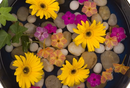 Daisies, ivy, pebbles and other flowers in water