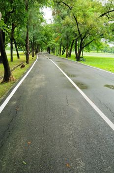 road and garden