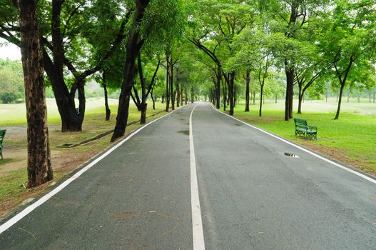road and garden